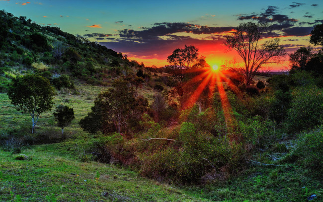 Обои картинки фото природа, восходы, закаты, холмы, трава, деревья, солнце, лучи, свет