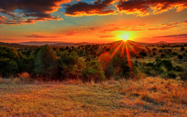 Обои картинки фото природа, восходы, закаты, свет, лучи, холмы, поле, трава, деревья, облака, солнце