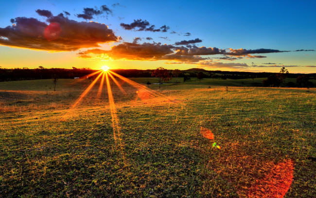 Обои картинки фото природа, восходы, закаты, свет, трава, поле, лучи, солнце, облака, горизонт