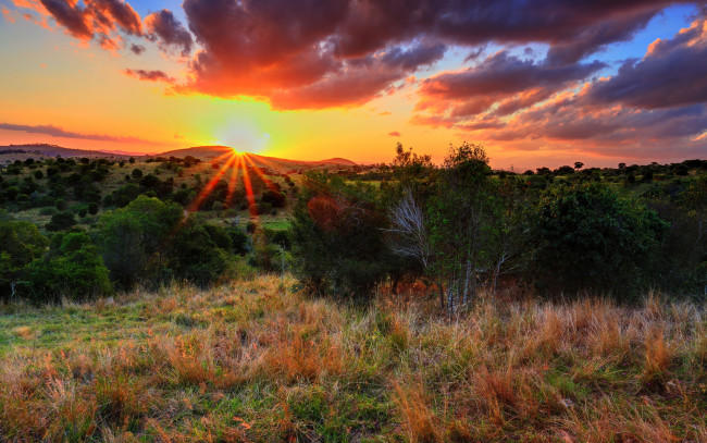 Обои картинки фото природа, восходы, закаты, трава, поле, деревья, холмы, тучи, солнце, лучи, свет