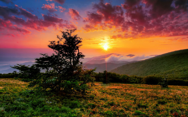 Обои картинки фото sunset, природа, восходы, закаты, облака, солнце, свет, дерево, трава, горы, луг