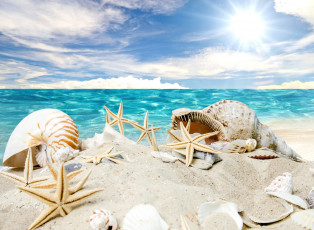 обоя разное, ракушки,  кораллы,  декоративные и spa-камни, beach, starfishes, summer, sunshine, seashells, песок, солнце, море, пляж, sea, звезды, sand