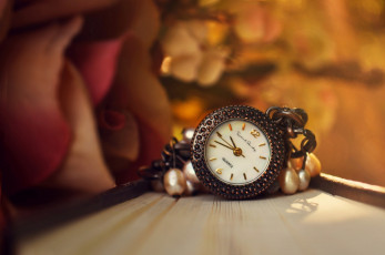 Картинка разное Часы +часовые+механизмы цветок роза подвеска часы книга
