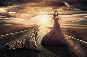 Картинка фэнтези фотоарт the road тигры девушка дорога girl tigers