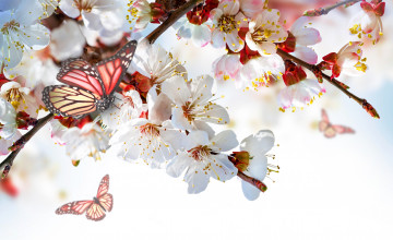 Картинка разное компьютерный+дизайн веточки бабочка цветы