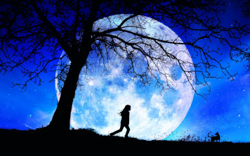 Картинка векторная+графика природа+ nature кошка луна дерево девушка силуэты ночь