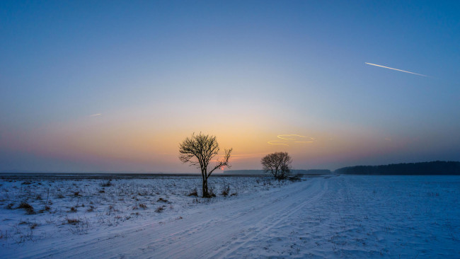 Обои картинки фото природа, дороги, дорога, зима, деревья, поле, закат