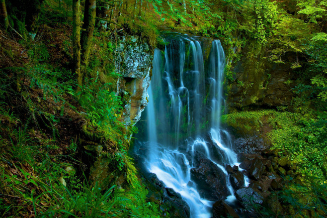 Обои картинки фото природа, водопады, деревья, скалы, водопад