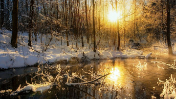 Картинка природа восходы закаты закат зима
