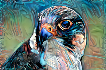 Картинка разное компьютерный+дизайн орел
