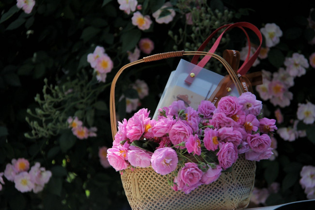 Обои картинки фото цветы, розы, корзинка, розовые
