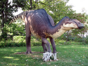 Картинка разное рельефы статуи музейные экспонаты гнездо динозавр деревья