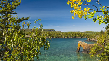 Картинка природа реки озера бухта деревья побережье