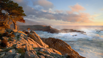 Картинка природа побережье море скалы сосны