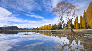 Картинка природа реки озера облака осень деревья река