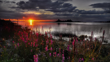 Картинка природа восходы закаты вода облака цветы