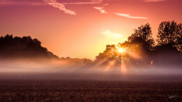 Картинка sunset природа восходы закаты туман лучи свет деревья поле закат