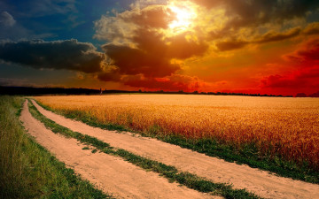 Картинка природа дороги облака дорога колося поле
