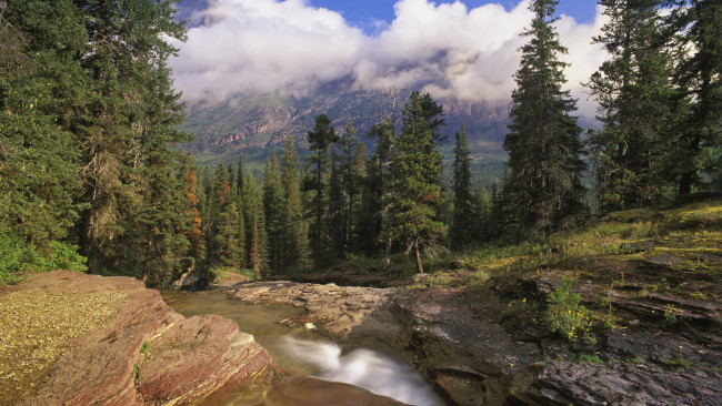 Обои картинки фото mountain, stream, природа, реки, озера, речка, горы, лес