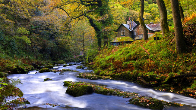 Обои картинки фото waters, meet, in, autumn, природа, реки, озера, лес, река, домик