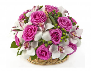 Картинка цветы букеты +композиции букет орхидеи розы корзинка