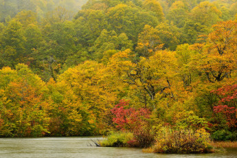 Картинка природа реки озера осень река деревья лес