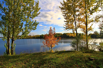Картинка природа реки озера ярославль река которосль лето деревья