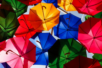 Картинка разное сумки +кошельки +зонты яркие разноцветные зонты