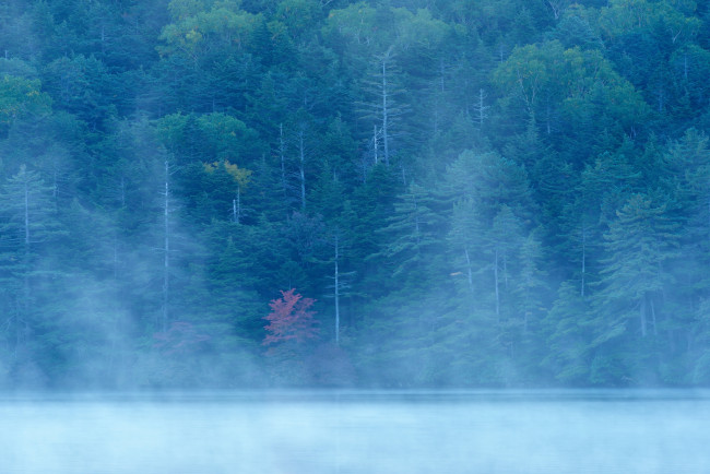 Обои картинки фото природа, реки, озера, туман, река, склон, озеро, лес, осень