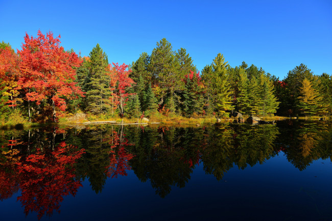 Обои картинки фото природа, реки, озера, закат, небо, осень, деревья, лес, озеро, пруд