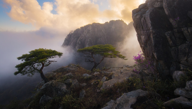 Обои картинки фото Чонджу,  южная корея, природа, горы, скалы, камни, деревья, трава, туман