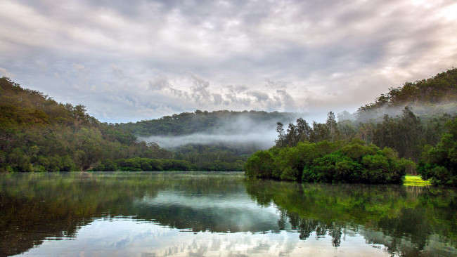 Обои картинки фото природа, реки, озера, отражение, туман, деревья, река, вода