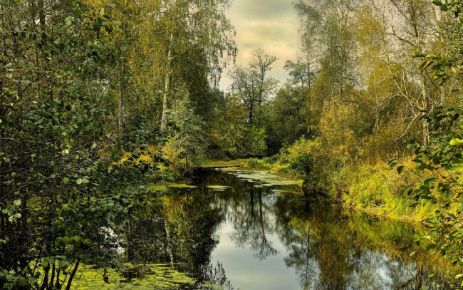 Обои картинки фото природа, реки, озера, бусыгин, борис, осень, зауралье, река, отражение