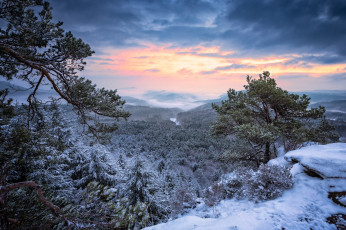 Картинка природа пейзажи зима обрыв холмы зимний вид высота даль утро дымка сосны хвоя зимняя ветки горы снег облака небо лес иней