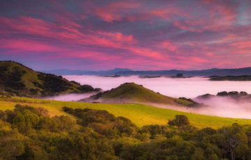 Картинка природа пейзажи лес небо трава облака деревья горы туман рассвет поля калифорния сша луга