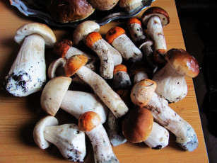 Картинка еда грибы +грибные+блюда боровики подосиновики