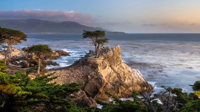 Обои картинки фото pebble beach, california, природа, побережье, pebble, beach