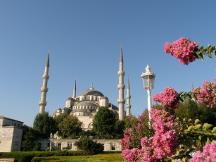 обоя цветы, востока, города, стамбул, турция
