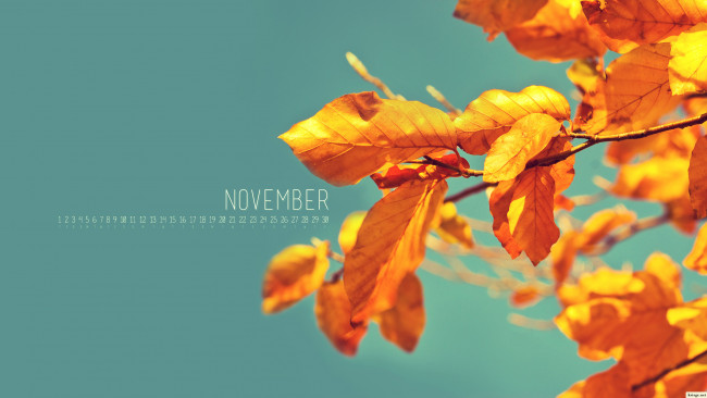 Обои картинки фото календари, природа, ветки, листья, осень