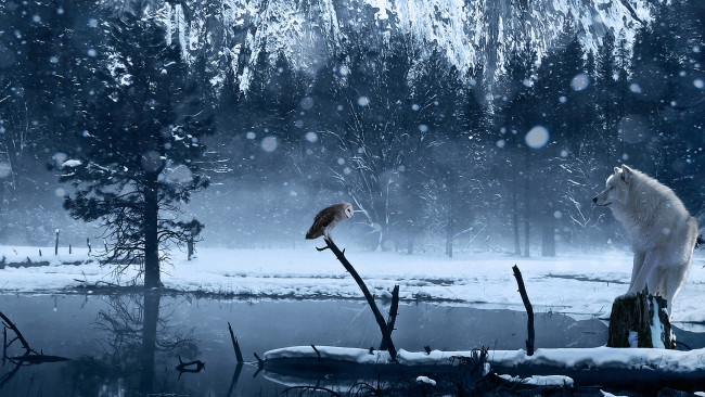 Обои картинки фото разное, компьютерный, дизайн, лес, зима, сова, волк, пруд
