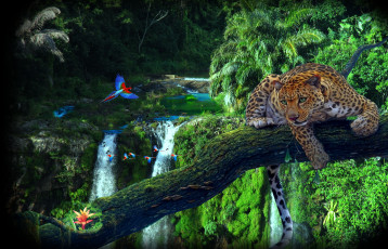 Картинка разное компьютерный дизайн попугаи леопард amazon jungl дерево