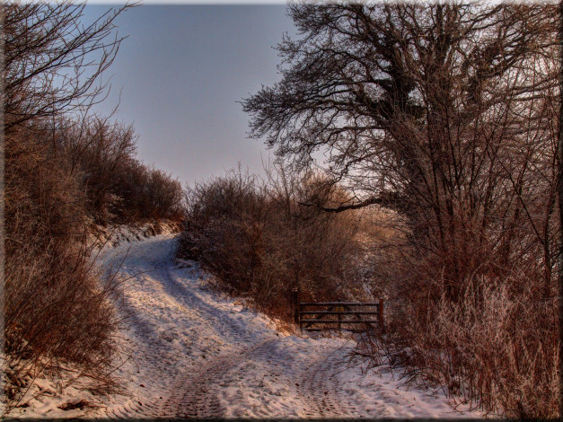 Обои картинки фото природа, дороги, зима, деревья