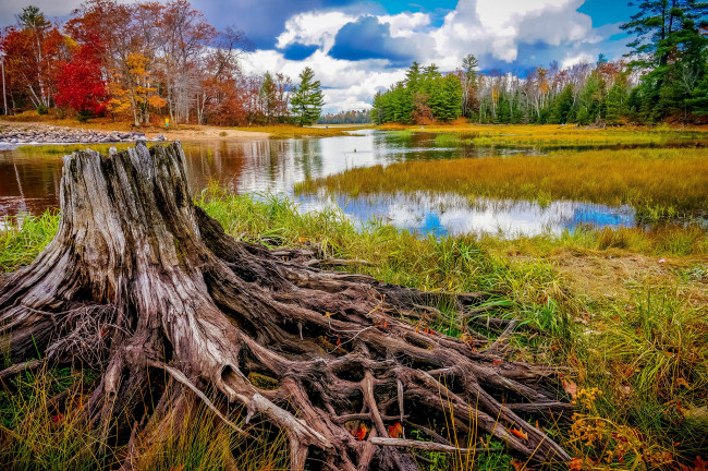 Обои картинки фото природа, реки, озера, лес, осень, река