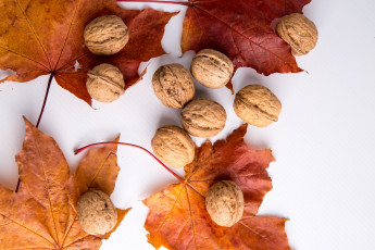 Картинка еда орехи +каштаны +какао-бобы листья грецкие