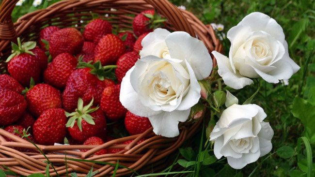 Обои картинки фото еда, клубника,  земляника, розы, ягоды, корзинка