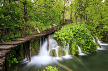 Картинка природа водопады лес река камни