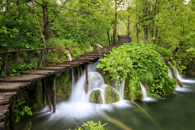 Обои картинки фото природа, водопады, лес, река, камни