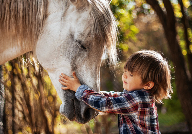 Обои картинки фото разное, дети, ребенок, лошадь