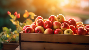 обоя еда, яблоки, ящик, урожай, капли