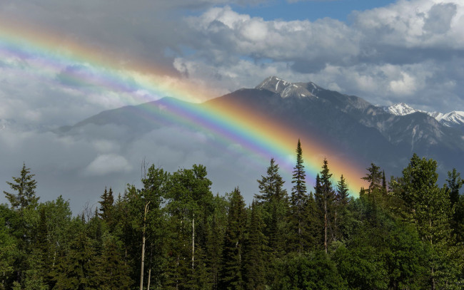 Обои картинки фото природа, радуга, горы, лес